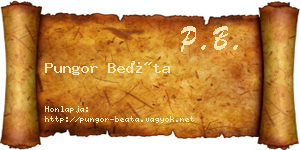Pungor Beáta névjegykártya